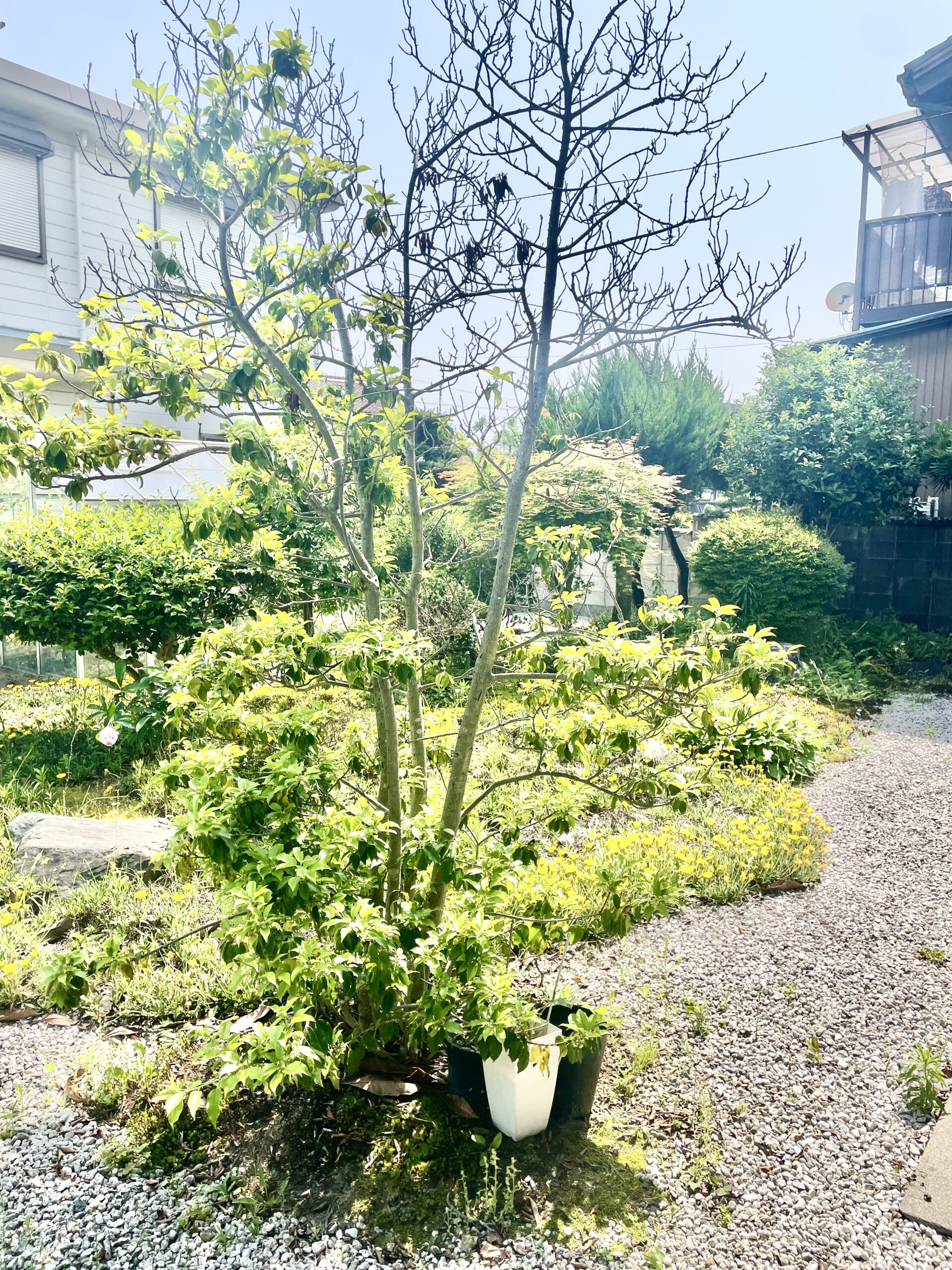 シェアハウス個室